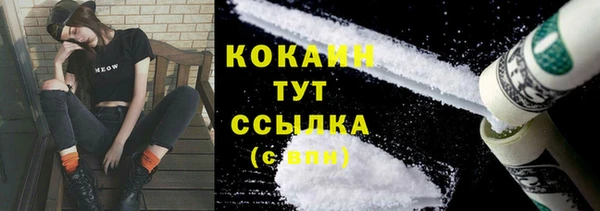 тгк Алзамай