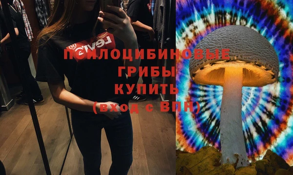 apvp Алексин