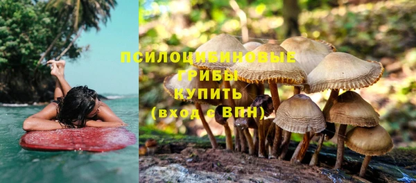 apvp Алексин
