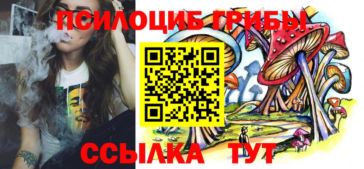 Псилоцибиновые грибы Psilocybe Йошкар-Ола