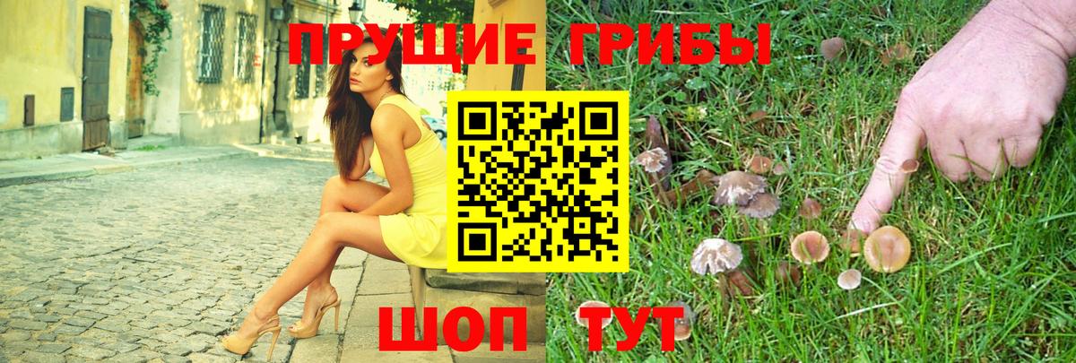 Галлюциногенные грибы Psilocybine cubensis  купить наркотик  Йошкар-Ола  Вход с VPN 